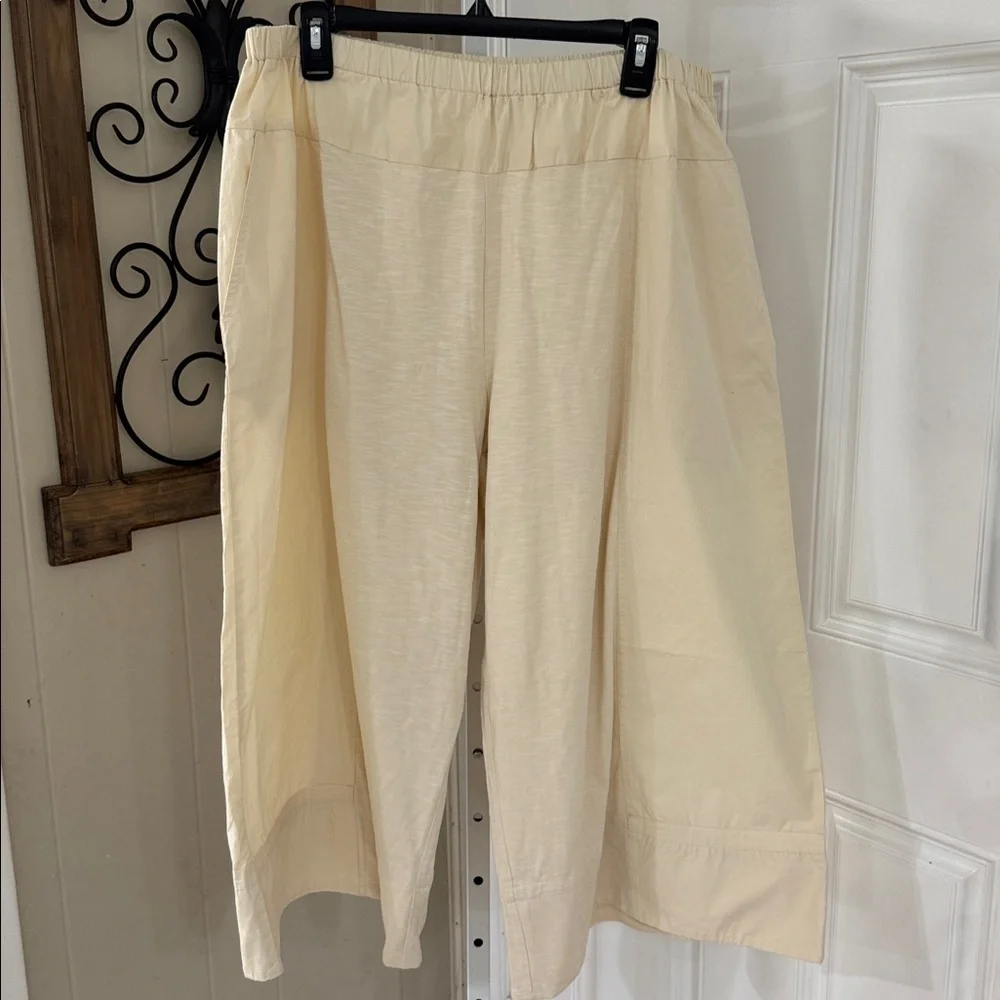 Daily Practice by Anthropologie Take Heart Capri Pants